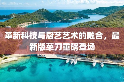 革新科技與廚藝藝術(shù)的融合，最新版菜刀重磅登場