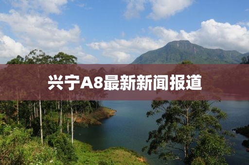 興寧A8最新新聞報道
