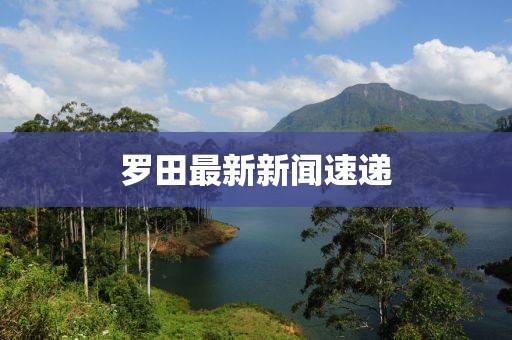 羅田最新新聞速遞