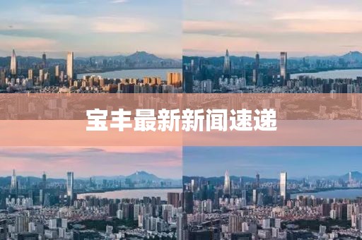 寶豐最新新聞速遞