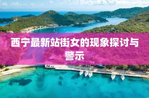 西寧最新站街女的現(xiàn)象探討與警示