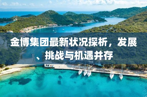 金博集團(tuán)最新狀況探析，發(fā)展、挑戰(zhàn)與機(jī)遇并存