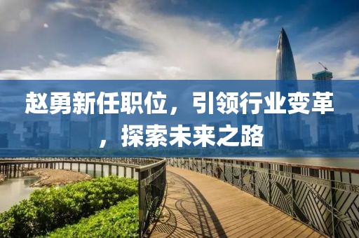 趙勇新任職位，引領(lǐng)行業(yè)變革，探索未來之路