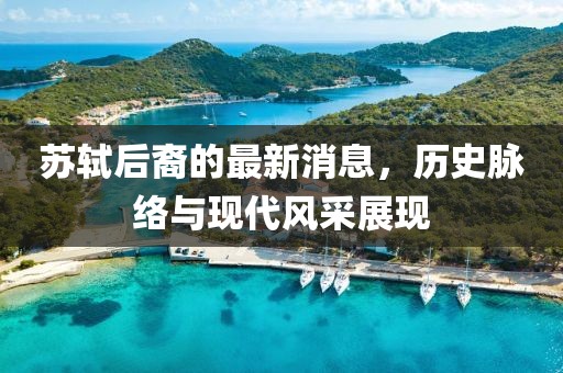 蘇軾后裔的最新消息，歷史脈絡(luò)與現(xiàn)代風采展現(xiàn)