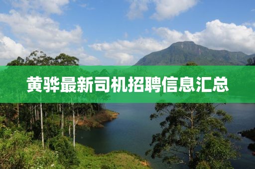 寄錦書(shū) 第25頁(yè)