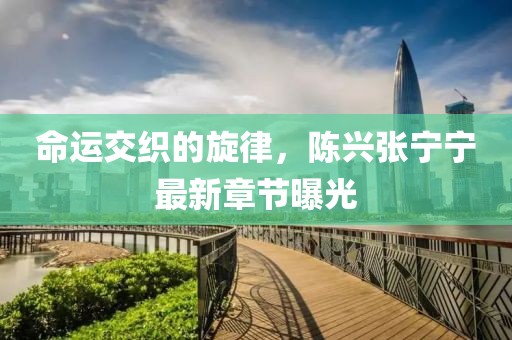 命運交織的旋律，陳興張寧寧最新章節(jié)曝光