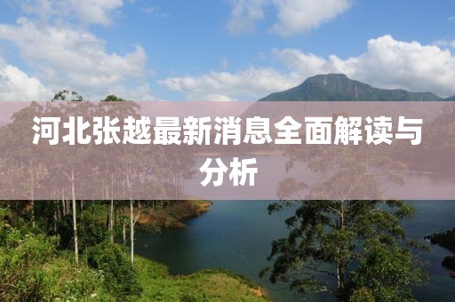 河北張?jiān)阶钚孪⑷娼庾x與分析