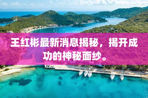 王紅彬最新消息揭秘，揭開成功的神秘面紗。