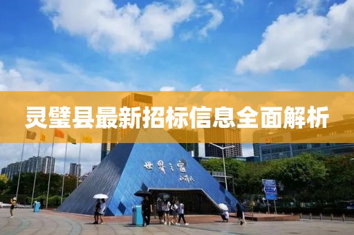 靈璧縣最新招標(biāo)信息全面解析