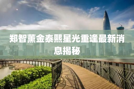 鄭智薰金泰熙星光重逢最新消息揭秘