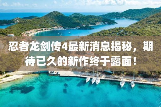 忍者龍劍傳4最新消息揭秘，期待已久的新作終于露面！