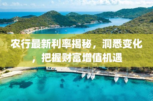 農(nóng)行最新利率揭秘，洞悉變化，把握財(cái)富增值機(jī)遇