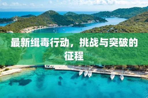 最新緝毒行動(dòng)，挑戰(zhàn)與突破的征程