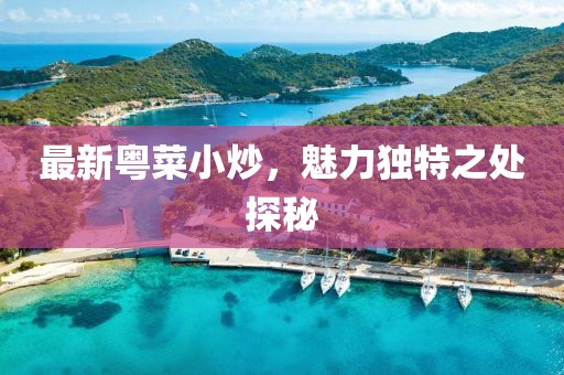 最新粵菜小炒，魅力獨(dú)特之處探秘