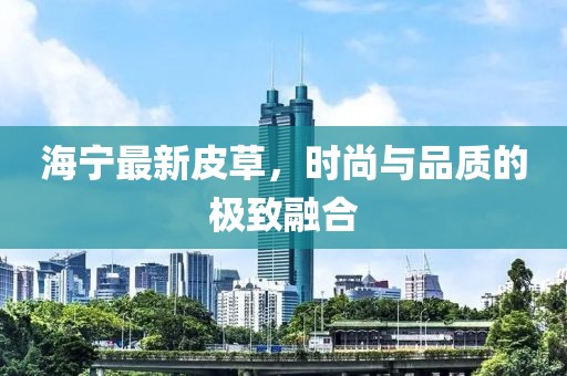 海寧最新皮草，時尚與品質(zhì)的極致融合