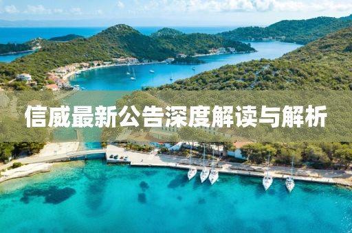 信威最新公告深度解讀與解析