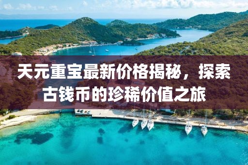天元重寶最新價格揭秘，探索古錢幣的珍稀價值之旅