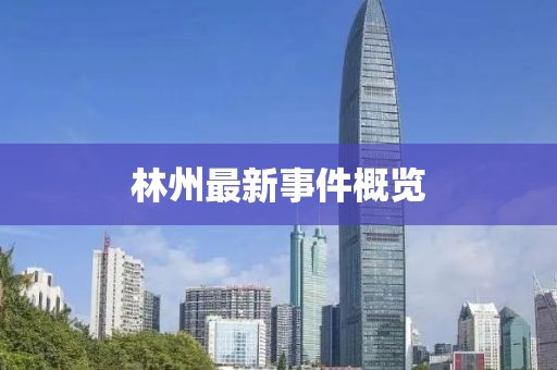 林州最新事件概覽