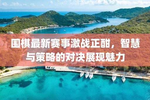 圍棋最新賽事激戰(zhàn)正酣，智慧與策略的對決展現(xiàn)魅力