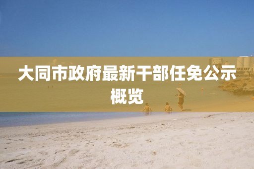 大同市政府最新干部任免公示概覽