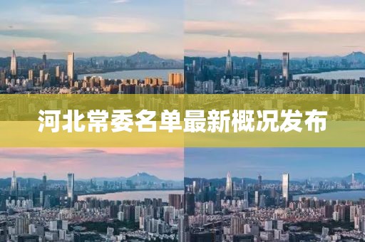 河北常委名單最新概況發(fā)布