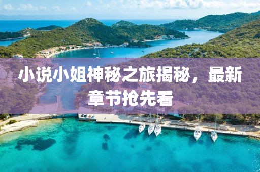 小說(shuō)小姐神秘之旅揭秘，最新章節(jié)搶先看