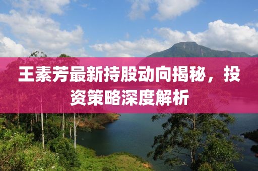 王素芳最新持股動向揭秘，投資策略深度解析