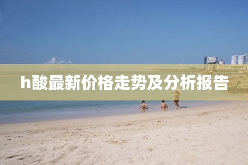 h酸最新價格走勢及分析報告