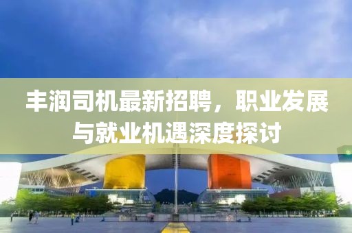 豐潤司機(jī)最新招聘，職業(yè)發(fā)展與就業(yè)機(jī)遇深度探討
