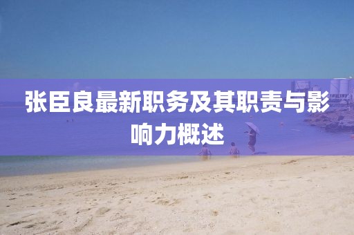 張臣良最新職務(wù)及其職責(zé)與影響力概述