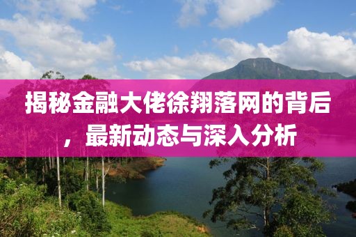 揭秘金融大佬徐翔落網(wǎng)的背后，最新動(dòng)態(tài)與深入分析
