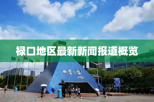 祿口地區(qū)最新新聞報道概覽
