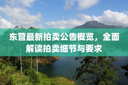 東營最新拍賣公告概覽，全面解讀拍賣細(xì)節(jié)與要求