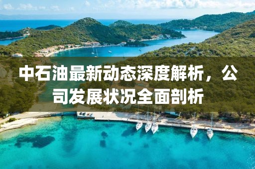 中石油最新動(dòng)態(tài)深度解析，公司發(fā)展?fàn)顩r全面剖析