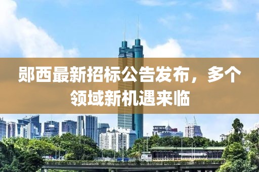 鄖西最新招標(biāo)公告發(fā)布，多個(gè)領(lǐng)域新機(jī)遇來臨