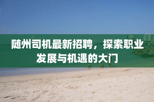 隨州司機(jī)最新招聘，探索職業(yè)發(fā)展與機(jī)遇的大門