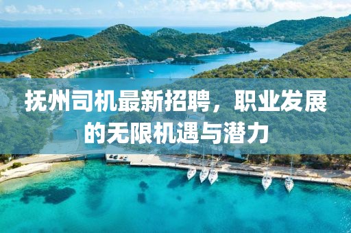 撫州司機(jī)最新招聘，職業(yè)發(fā)展的無限機(jī)遇與潛力