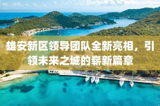 雄安新區(qū)領(lǐng)導(dǎo)團(tuán)隊(duì)全新亮相，引領(lǐng)未來(lái)之城的嶄新篇章