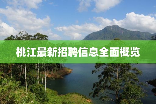 桃江最新招聘信息全面概覽