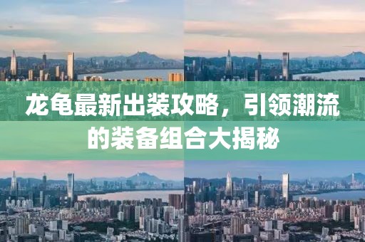 龍龜最新出裝攻略，引領(lǐng)潮流的裝備組合大揭秘