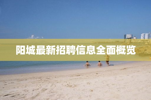 陽城最新招聘信息全面概覽