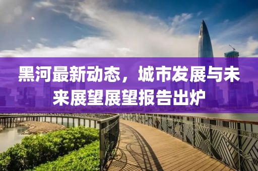 黑河最新動(dòng)態(tài)，城市發(fā)展與未來(lái)展望展望報(bào)告出爐