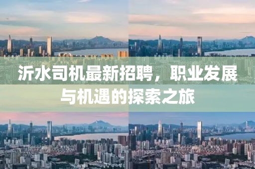 沂水司機(jī)最新招聘，職業(yè)發(fā)展與機(jī)遇的探索之旅