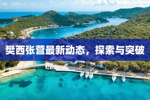 樊西張營最新動態(tài)，探索與突破