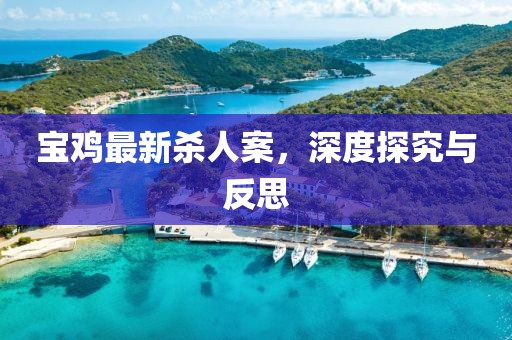 寶雞最新殺人案，深度探究與反思