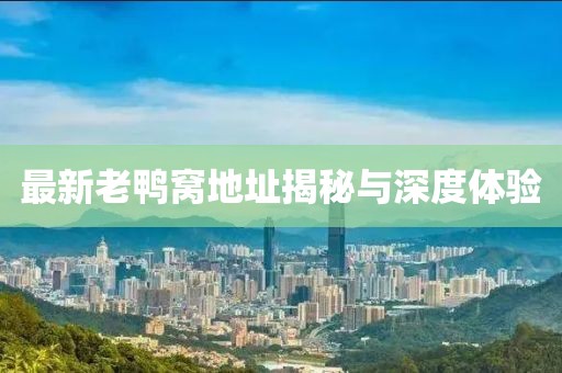 最新老鴨窩地址揭秘與深度體驗(yàn)