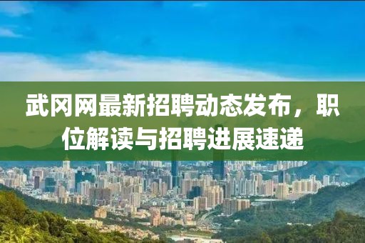 武岡網(wǎng)最新招聘動(dòng)態(tài)發(fā)布，職位解讀與招聘進(jìn)展速遞