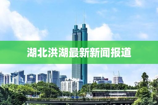 湖北洪湖最新新聞報道