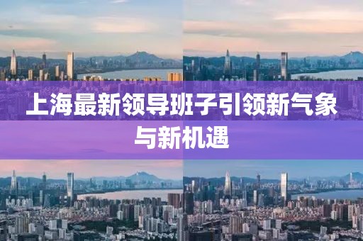 上海最新領(lǐng)導(dǎo)班子引領(lǐng)新氣象與新機(jī)遇