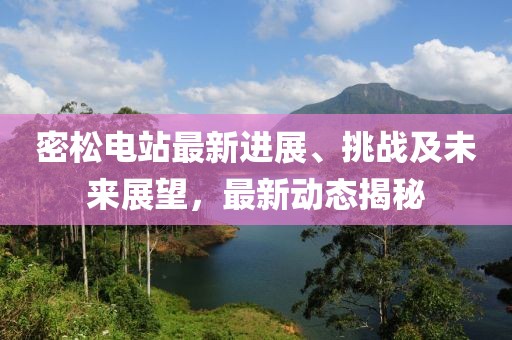 密松電站最新進(jìn)展、挑戰(zhàn)及未來展望，最新動態(tài)揭秘